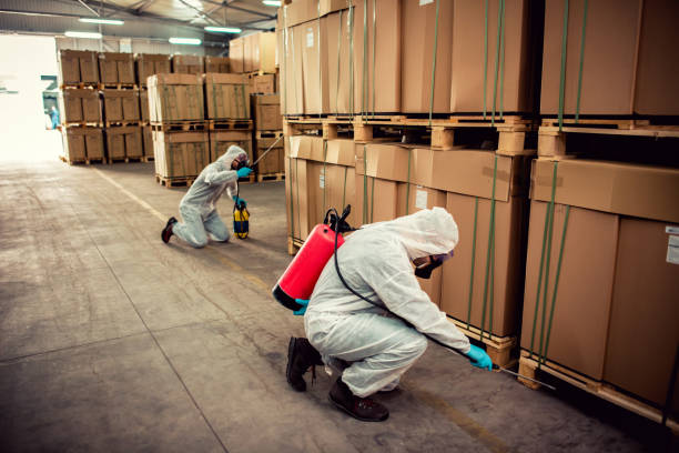 Best Flea Control Services  in Bloomington, MN