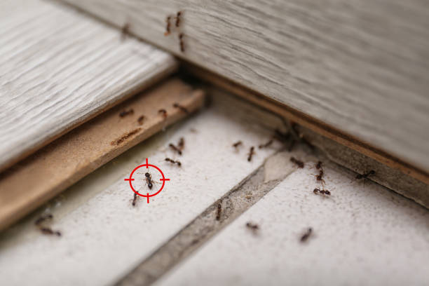 Wildlife Control Services in Bloomington, MN