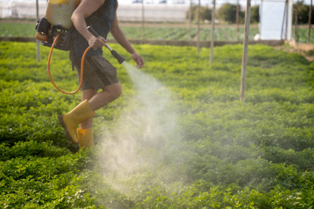 Best Affordable Pest Control Services  in Bloomington, MN