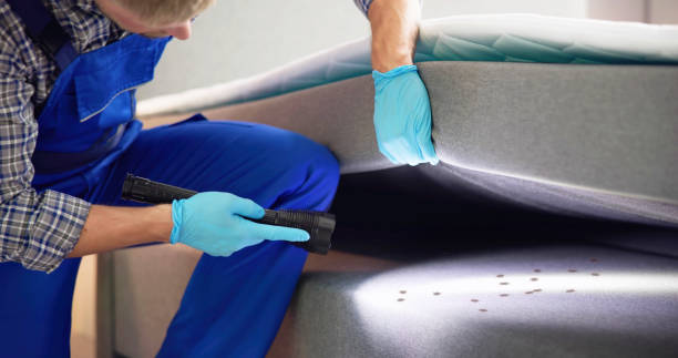 Best Cockroach Control Services  in Bloomington, MN