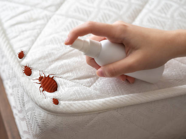 Best Affordable Pest Control Services  in Bloomington, MN