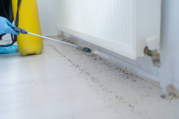 Best Pest Prevention Services  in Bloomington, MN
