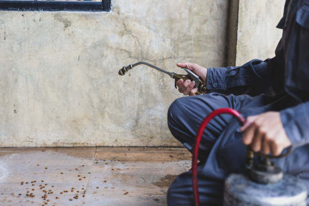 Best Residential Pest Control  in Bloomington, MN